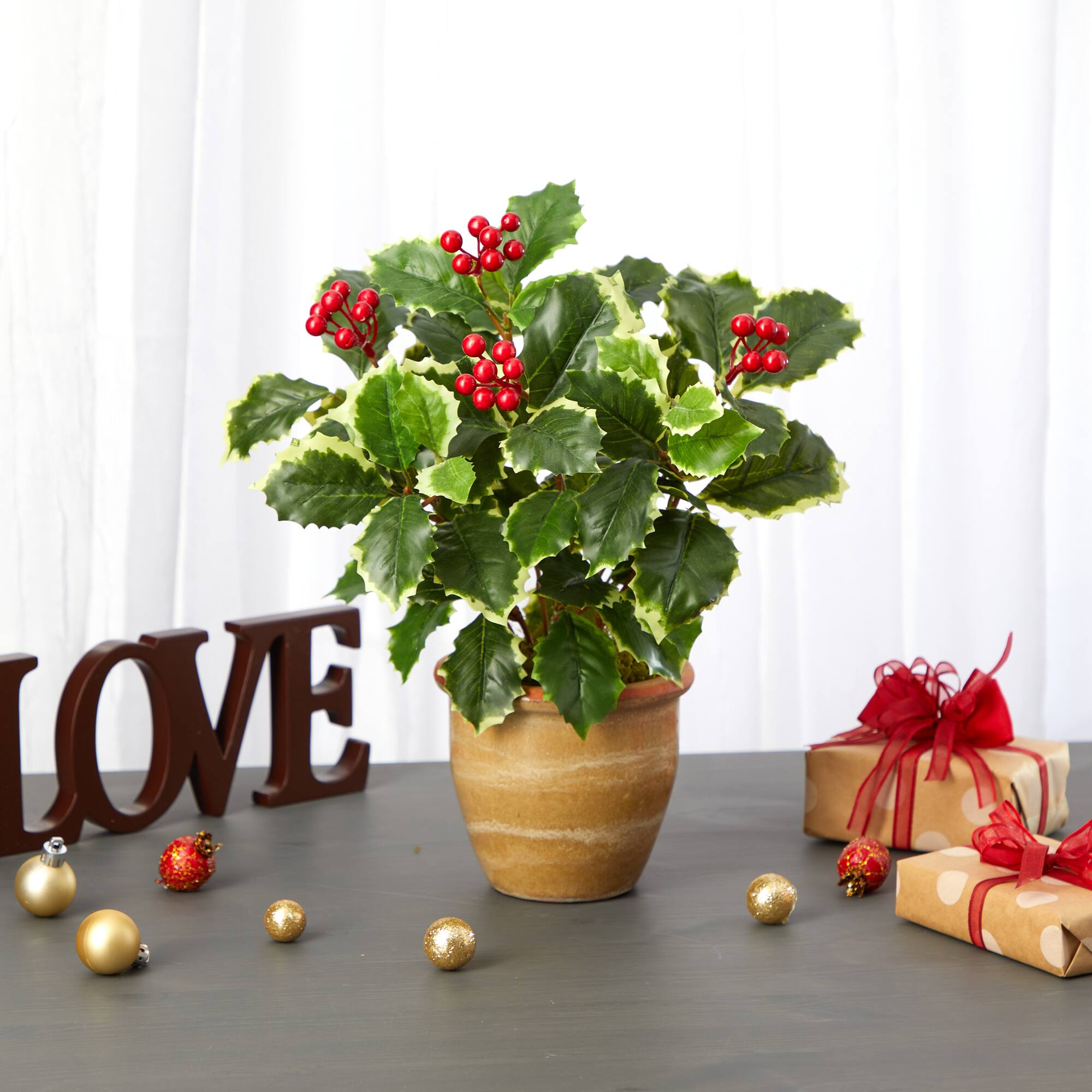 14" Variegated Holly Plant in Ceramic Planter